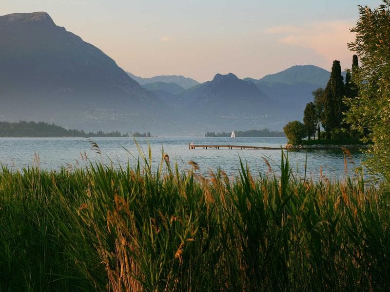 Royal Beauty Bashundhara-1773528604562 - Image 3