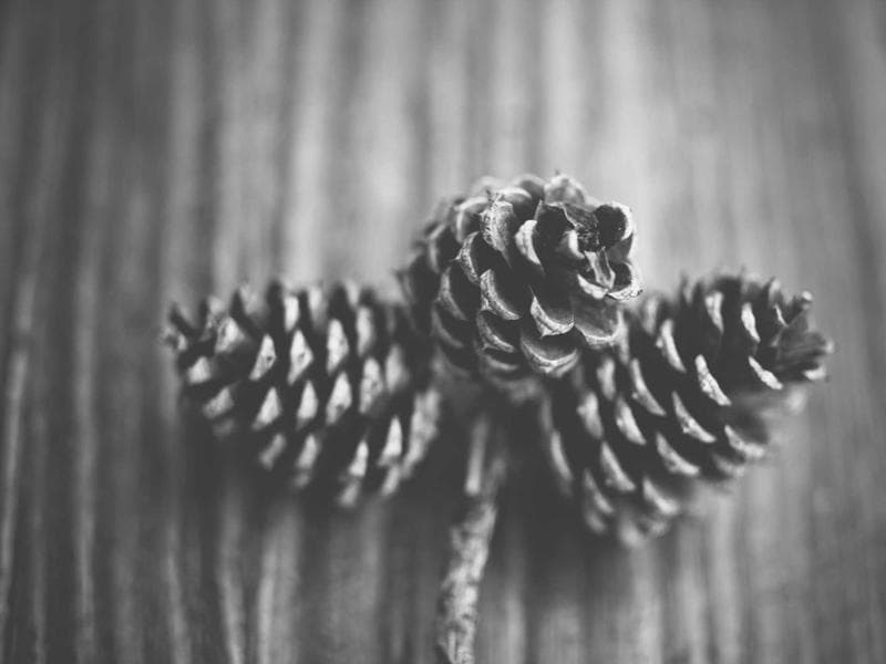 Artistry Studio Mymensingh-1773528610267 - Image 3